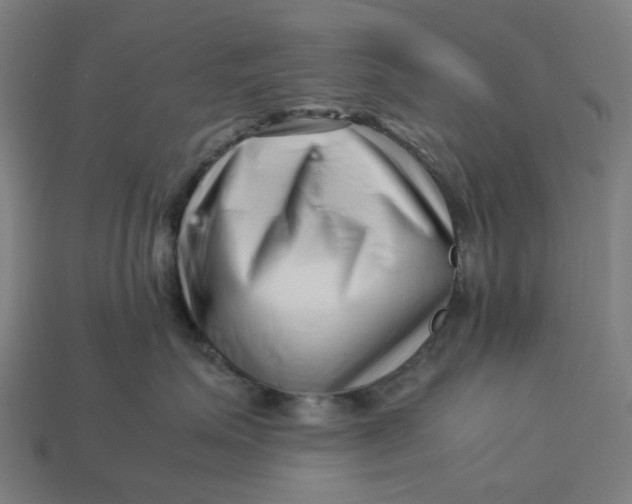 X0000113370623200910061101