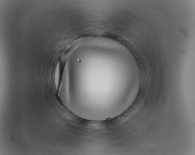 X0000113370624200910061101