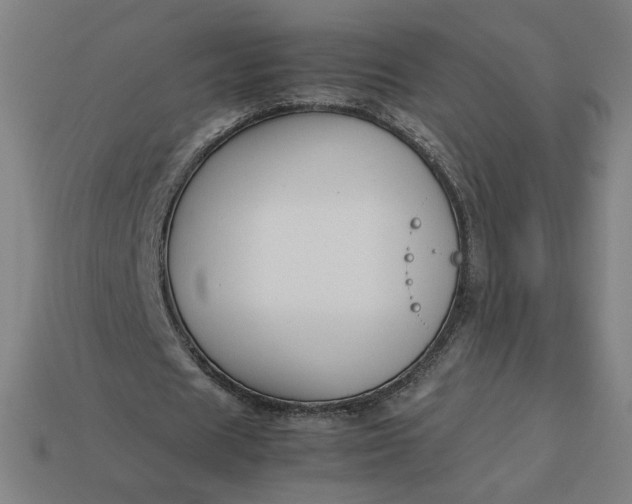 X0000113370625200910061101