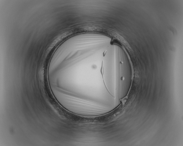 X0000113370626200910061101