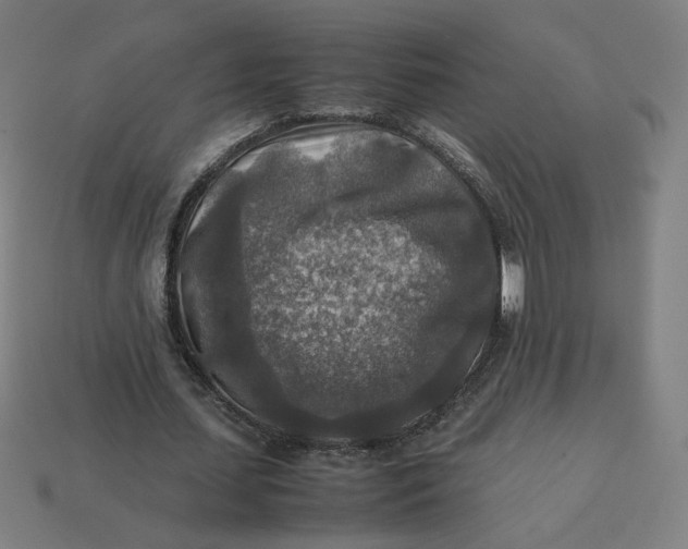 X0000113370627200910061101