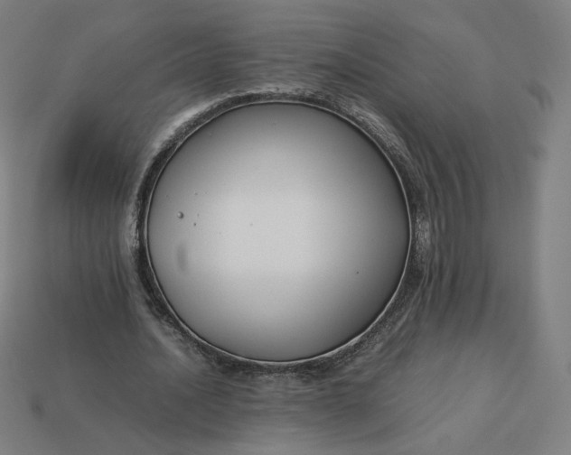 X0000113370628200910061101