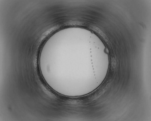 X0000113370629200910061101