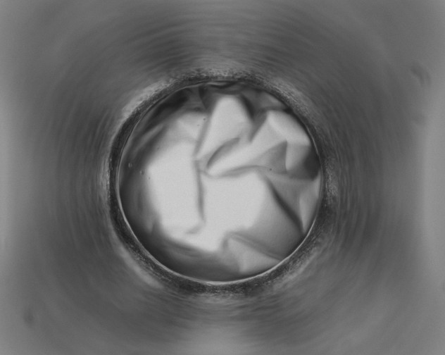 X0000113370630200910061101