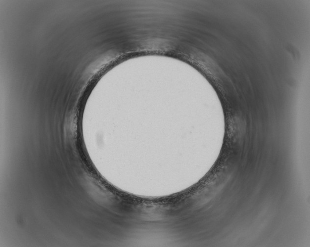 X0000113370632200910061101