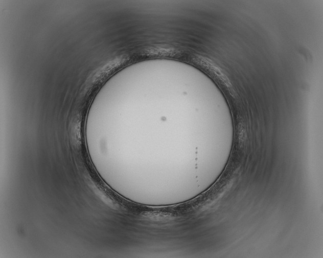 X0000113370633200910061101