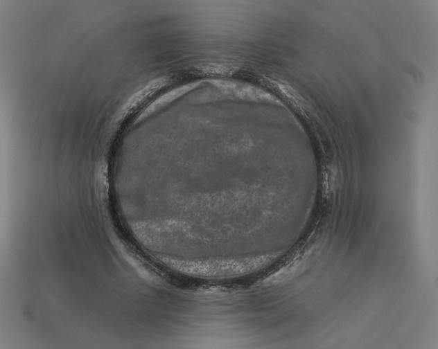 X0000113370634200910061101