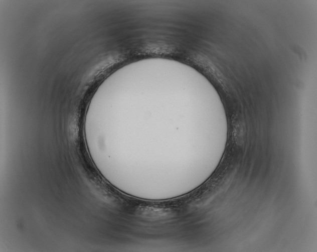 X0000113370635200910061101