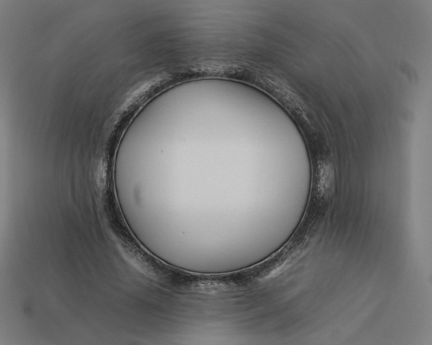 X0000113370636200910061101