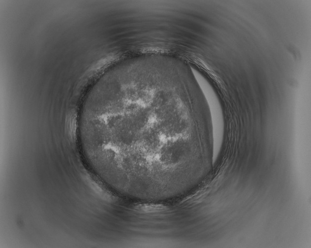 X0000113370637200910061101