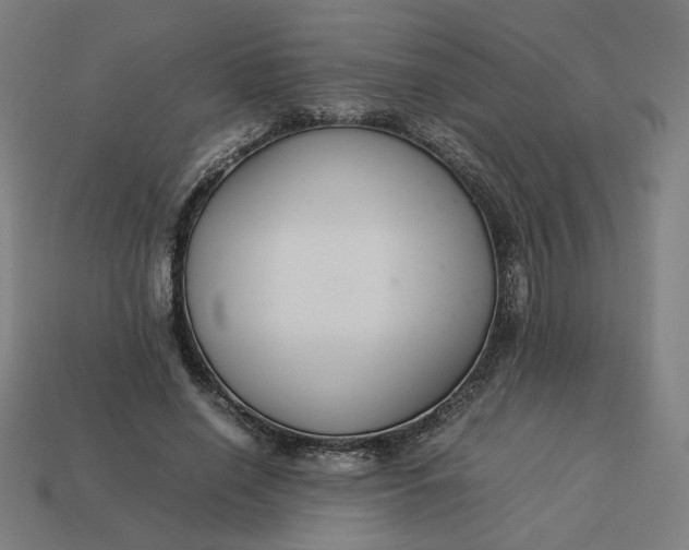 X0000113370638200910061101