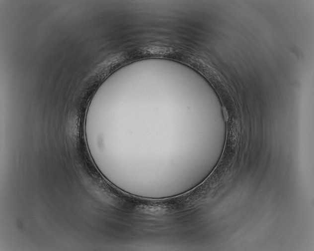 X0000113370639200910061101