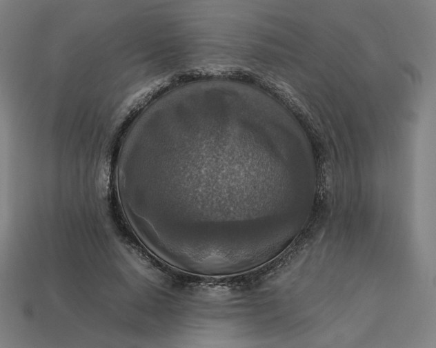 X0000113370640200910061101