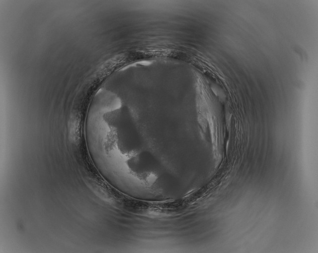 X0000113370641200910061101