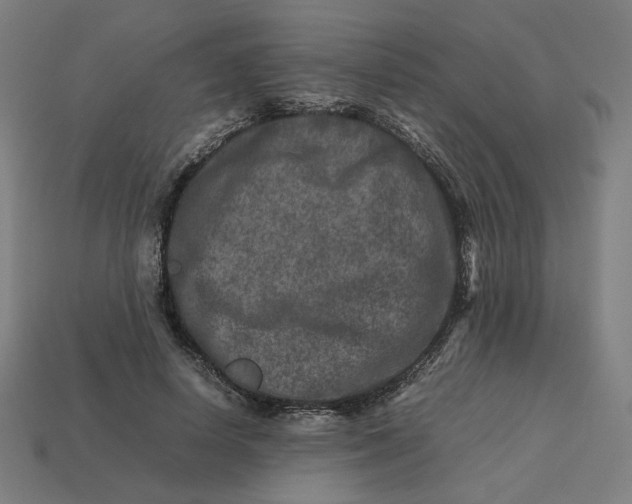 X0000113370642200910061101