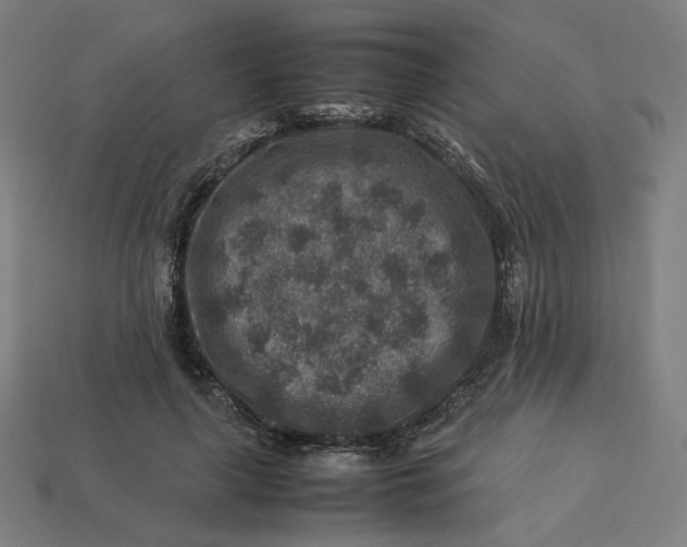 X0000113370643200910061101