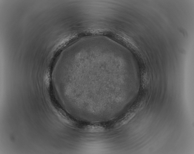 X0000113370644200910061101