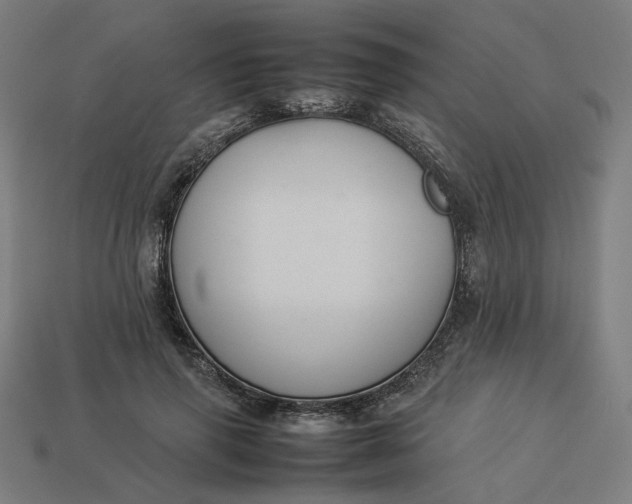 X0000113370645200910061101