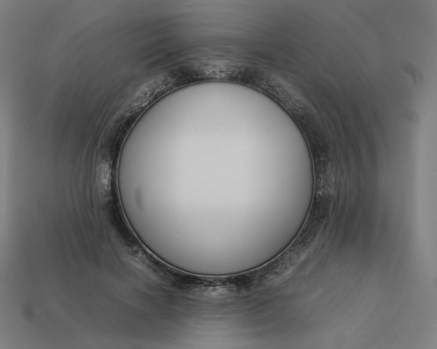 X0000113370646200910061101