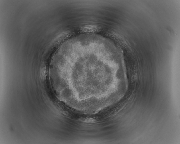 X0000113370647200910061101