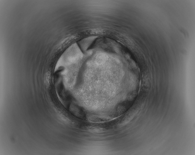 X0000113370648200910061101