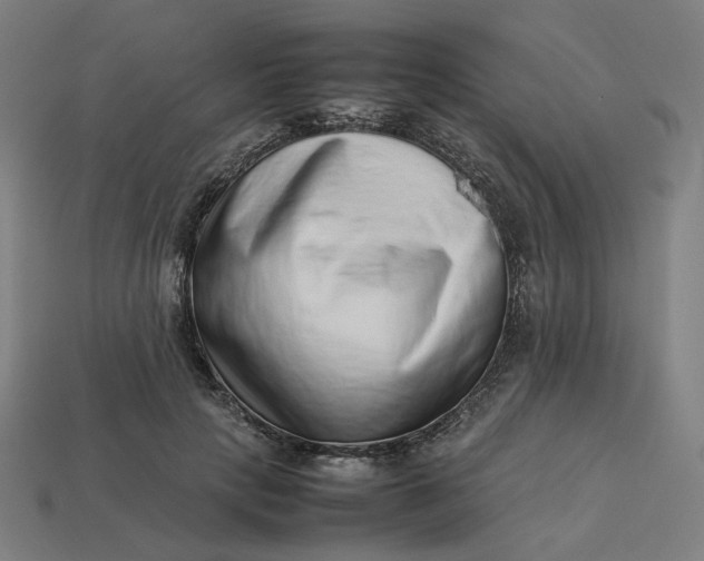 X0000113370649200910061101