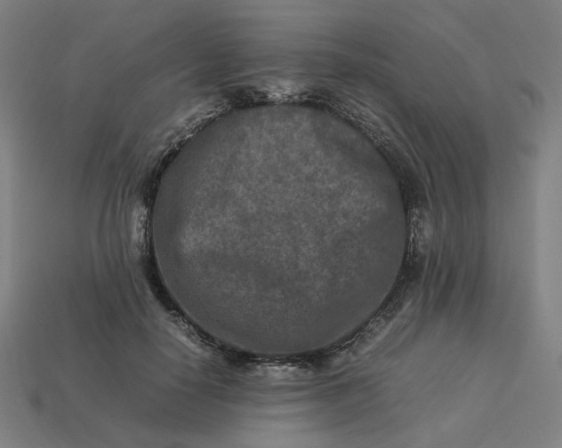 X0000113370650200910061101