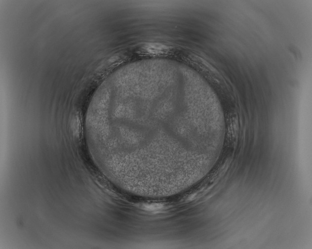 X0000113370651200910061101