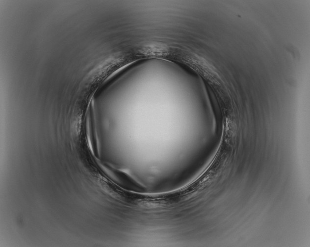 X0000113370652200910061101