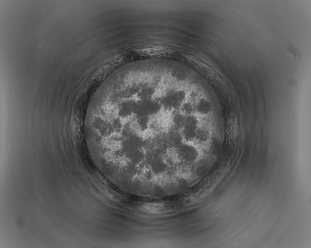 X0000113370653200910061101