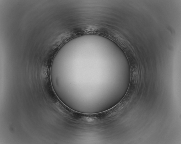 X0000113370654200910061101