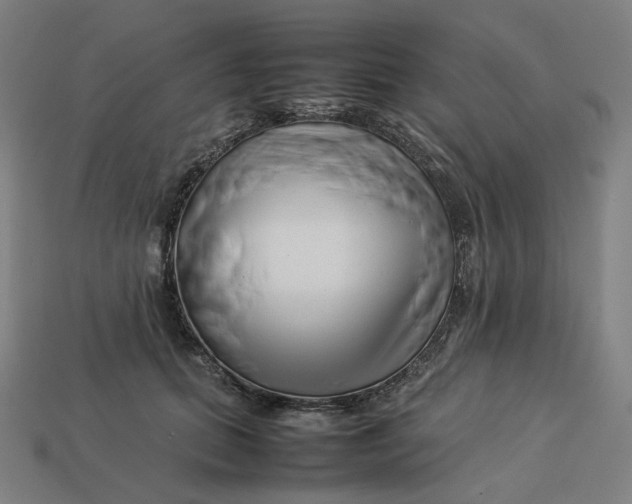 X0000113370655200910061101