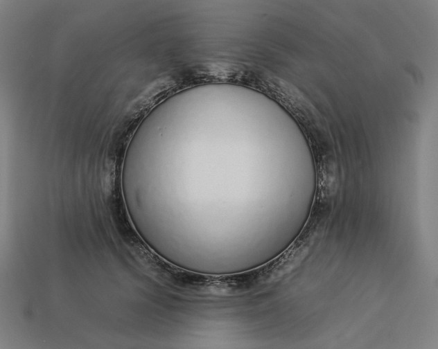 X0000113370656200910061101