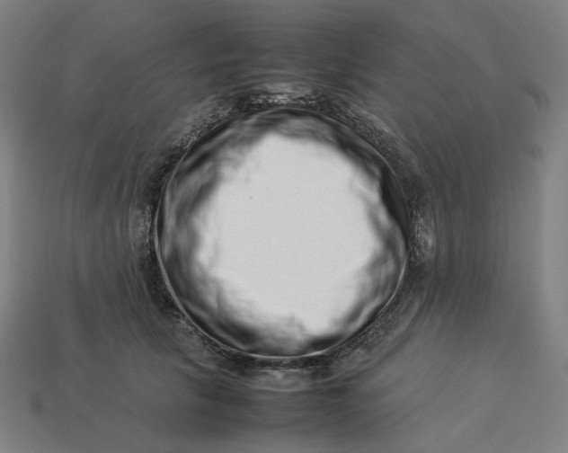 X0000113370657200910061101