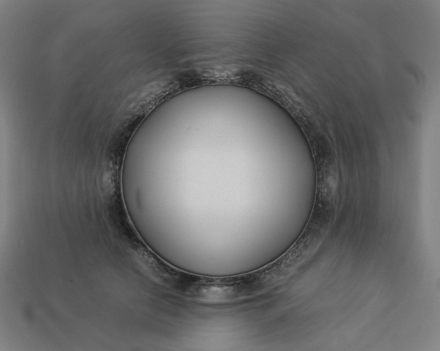 X0000113370658200910061101