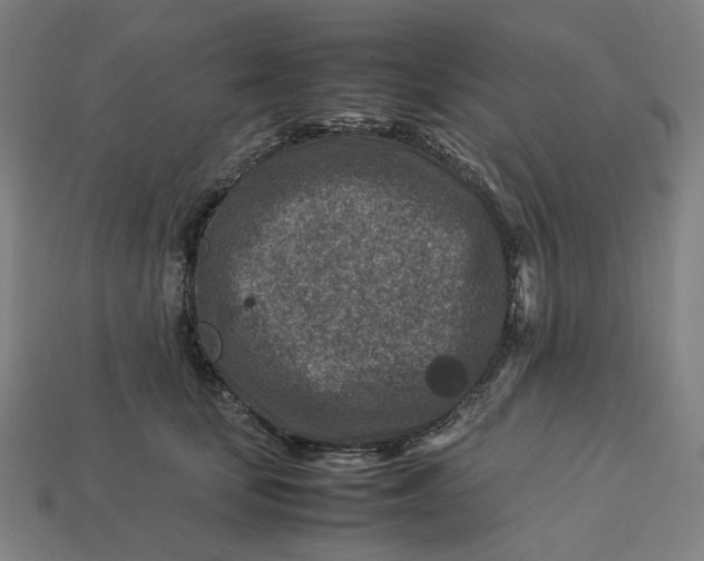 X0000113370659200910061101