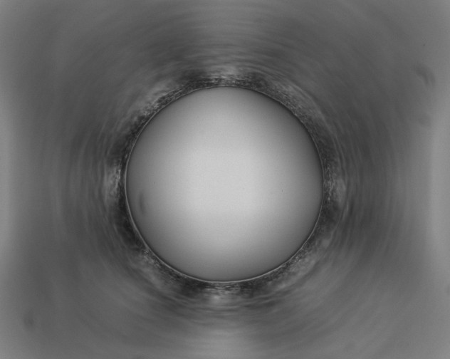 X0000113370660200910061101