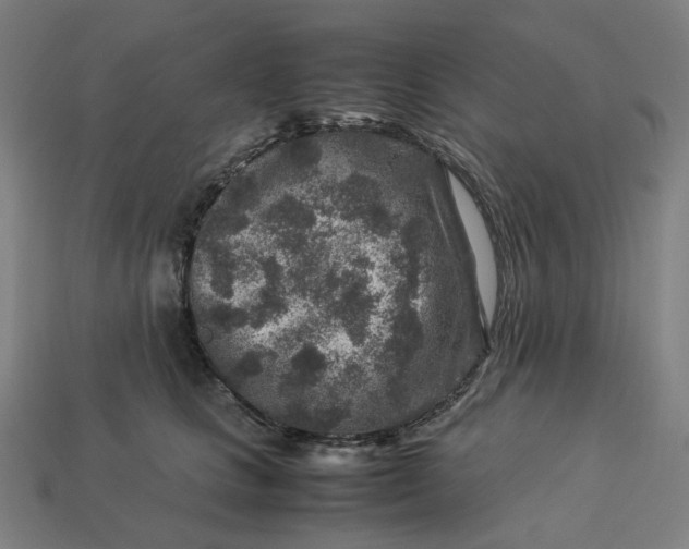 X0000113370661200910061101