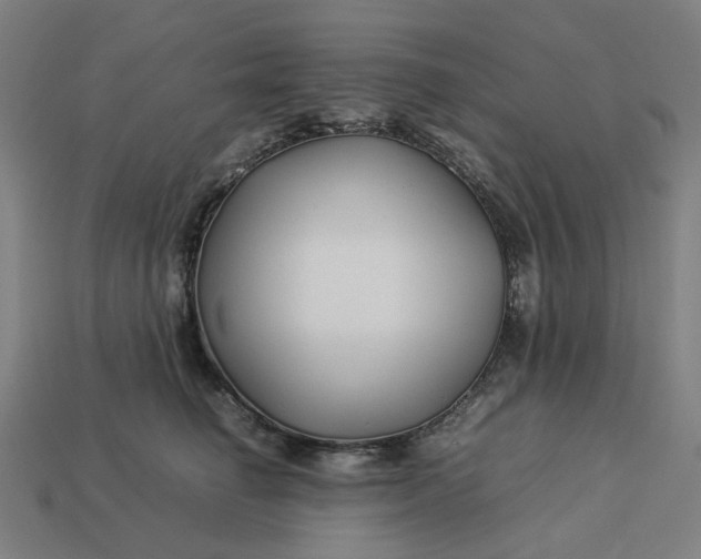 X0000113370662200910061101