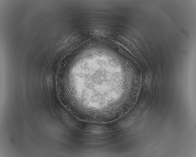 X0000113370663200910061101