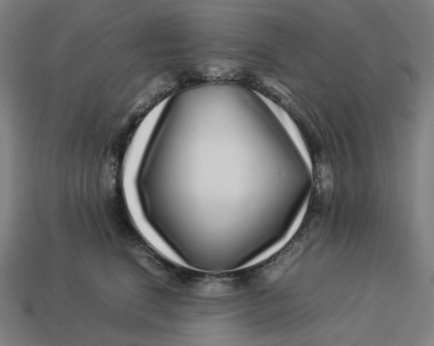 X0000113370664200910061101