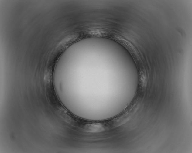 X0000113370665200910061101