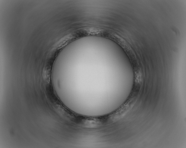 X0000113370666200910061101