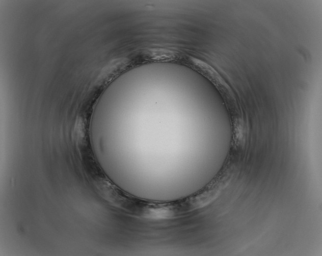 X0000113370667200910061101