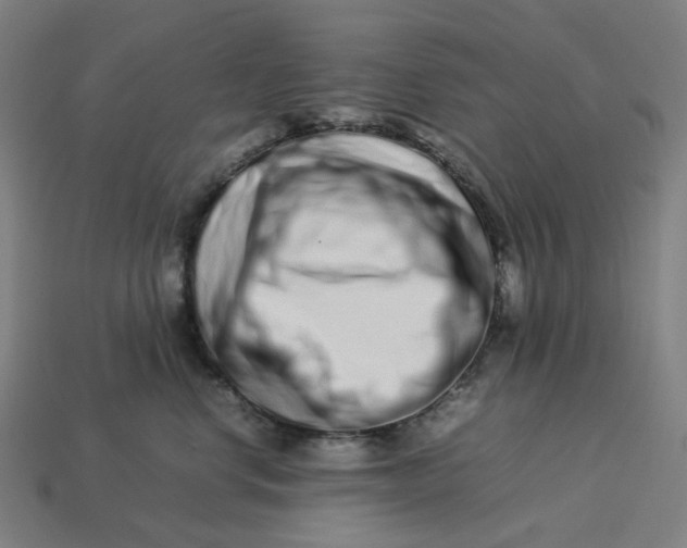 X0000113370668200910061101