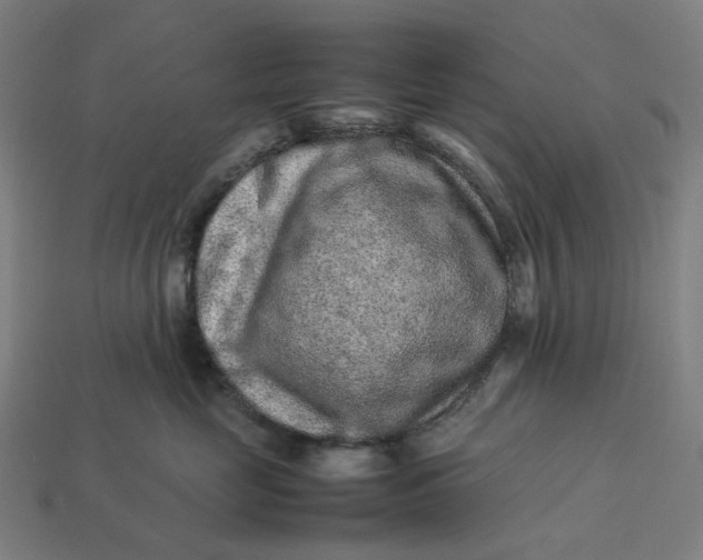 X0000113370669200910061101