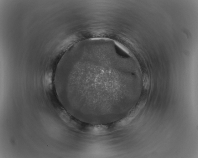 X0000113370670200910061101