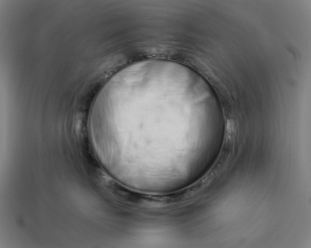 X0000113370671200910061101