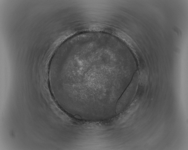 X0000113370673200910061101