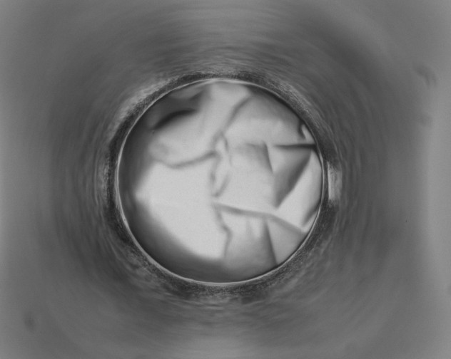 X0000113370675200910061101